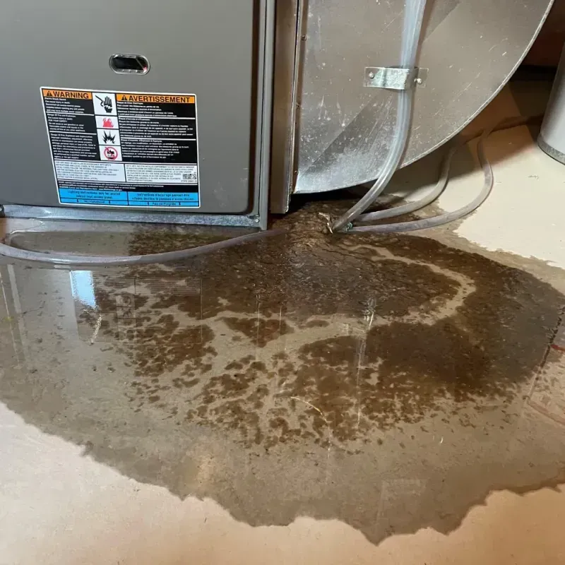 Appliance Leak Cleanup in Willow Valley, AZ